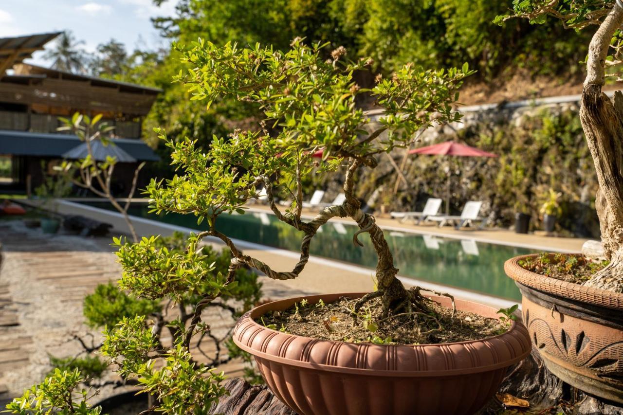 Bamboo Cottage Langkawi بانتايْ تْشينانغ المظهر الخارجي الصورة