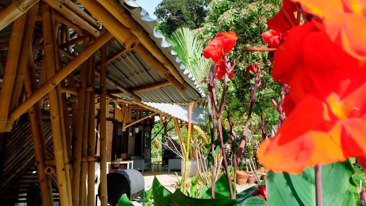 Bamboo Cottage Langkawi بانتايْ تْشينانغ المظهر الخارجي الصورة